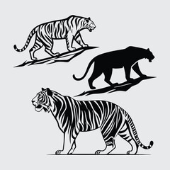 Deferent tiger breed image silhouette vector art and illustration