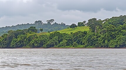 Riverbank rainforest landscape, cloudy sky, deforestation