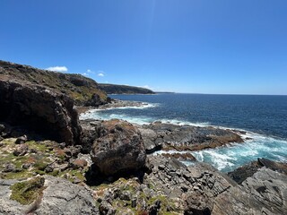 admirals arch in Kangaroo Island, near South Australia, is a nature haven known for wildlife like kangaroos, seals, and koalas, plus rugged cliffs, beaches, Flinders Chase National Park, and Seal Bay.