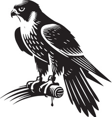 Black Color Peregrine Falcon Silhouette Vector Illustration, Solid White Background. minimal vector design
