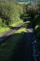 Countryside path - County Cork - Ireland