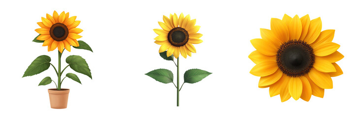 Fototapeta premium Vibrant sunflower with yellow petals and green leaves, showcasing beauty and nature charm