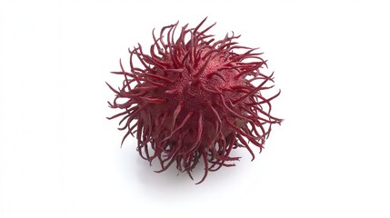 Naklejka premium A vibrant red fruit stands out against a clean white background, highlighting its natural beauty and freshness.