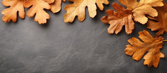 Obraz premium Autumn Leaves Arranged On Dark Grey Background