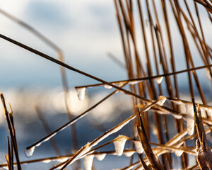 landscape with the seashore, windy winter day, frozen ice formations, Baltic Sea, Latvia