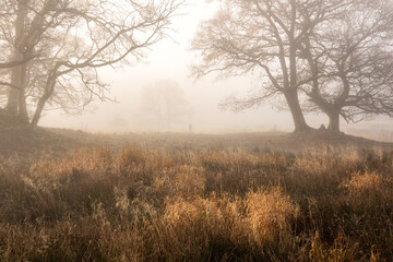 Stunning dramatic atmospheric sunrise landscape image of foggy morning at Elter Water around River Brathay in Lake District