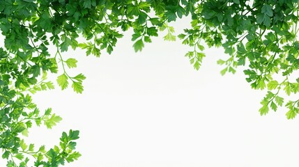 Lush Green Leaf Frame on White Background: Natural Organic Border for Design