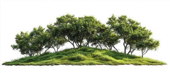 Lush Green Island Grove: A cluster of vibrant, healthy trees thrives atop a small, grassy hill, creating a serene and idyllic landscape, perfect for environmental or nature-themed projects.