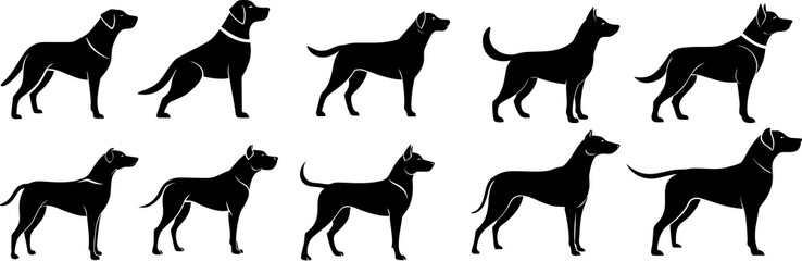 Clean and modern dog icons with simple lines and flat designs, ideal for logos, apps, and promotional materials for pet businesses.