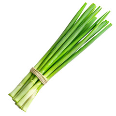 Fototapeta premium Harvesting fresh green onions farmer's market food photography outdoor setting close-up view culinary inspiration