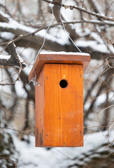 Bird feeder bird table hang on tree in winter