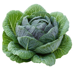 Cabbage isolated on transparent  background