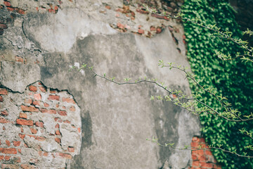 Weathered Brick Wall Texture, Old Brick Wall Texture