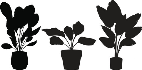 Silhouettes of Houseplants in Black Color Trendy Home Decor with Indoor Plants, Planters, and Tropical Leaves