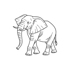 elephant pencil drawing vector art