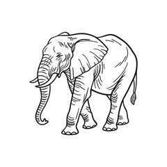 elephant pencil drawing vector art
