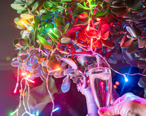 abstract, colorful, different shapes and brightness lights, color diversity, suitable for...