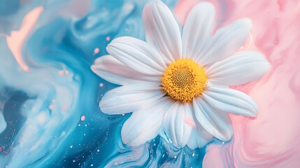 White Daisy Flower on Abstract Blue Pink Background