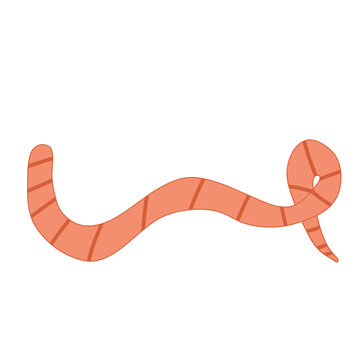 Hand drawn worm illustration roundworm 