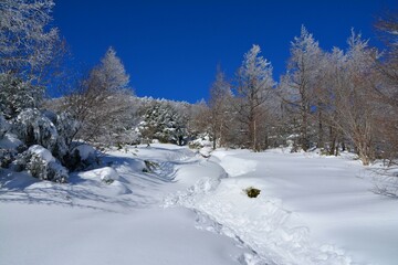 Obraz premium 澄んだ空と雪の登山道