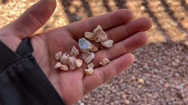 Coober Pedy, in South Australia, is the opal capital of the world, famous for its underground homes, churches, and shops built to escape the desert heat, offering a unique outback experience.