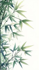 Fototapeta premium Bamboo Plant stem