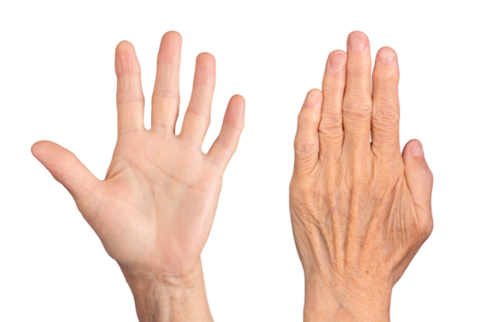 Closeup of elderly caucasian woman's hands, dorsal and palmar views together, fingers spread, wrinkled skin, visible veins, and neat nails, posed expressively. Isolated on white background.