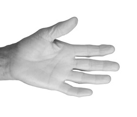 Closeup of elderly woman's hands showing both back and front views, fingers spread, wrinkled skin with visible veins and neat nails, expressive and diverse poses. Isolated on white background.