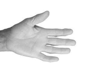 Closeup of elderly woman's hands showing both back and front views, fingers spread, wrinkled skin with visible veins and neat nails, expressive and diverse poses. Isolated on white background.