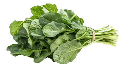 
Bunch of fresh green arugula leaves on transparent background