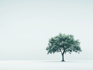 Obraz premium A solitary tree stands in a minimalist landscape, evoking tranquility and solitude.