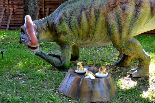 Dino Park hadrosaurus close up head Parasaurolophus dinosaur in dino park for children battle scene. dinosaur stands in the forest among the trees on a summer sunny day. High quality photo
