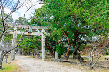 冬の萩城跡　志都岐山神社　山口県萩市　Hagi castle ruins in winter. Shizukiyama Shrine. Yamaguchi Pref, Hagi City.