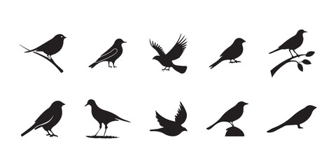 Various brid silhouette vector on white background