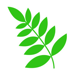 Branch with leaves. Cartoon green leaves illustration for design and decoration. Vector isolated on white background.