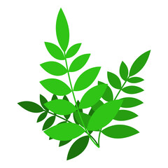 Branch with leaves. Cartoon green leaves illustration for design and decoration. Vector isolated on white background.