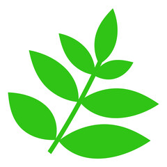 Branch with leaves. Cartoon green leaves illustration for design and decoration. Vector isolated on white background.