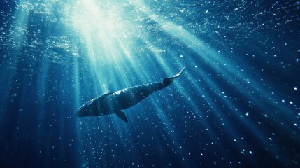Majestic Underwater Scene with Whale Swimming in Sunlit Ocean Depths