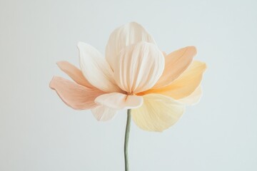 Colorful Plasticine Flower With Unique Petals and Green Stem on White Background