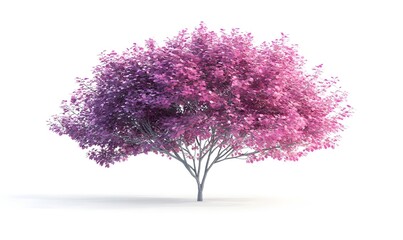 Obraz premium Pink purple tree, isolated, studio, digital rendering, design