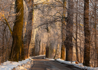 Fototapety na wymiar - Fototapeta24.pl