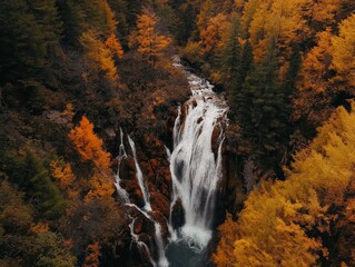 Aerial view of waterfall cascading through a forest in vibrant autumn colors