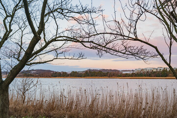 新潟　早朝の佐潟