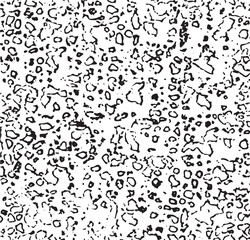  Black and White Distressed Animal Print Texture