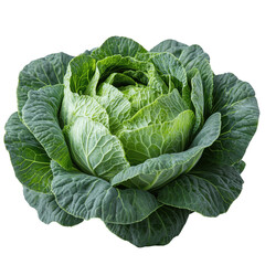 Obraz premium Fresh green cabbage with tightly packed leaves ready for harvest in a garden setting