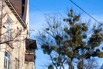 gabled original roof, tower on the house, tiles, windows, snow, ancient, mansions, facades,...