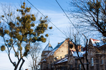 gabled original roof, tower on the house, tiles, windows, snow, ancient, mansions, facades,...