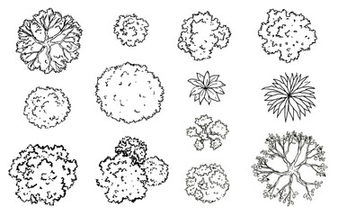 Vector set of Top view green tree for outdoor plan or map and architecture drawing, elements for environment and garden ,botanical elements ,Blooming flowers in spring,tropical plants element