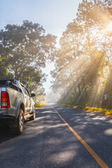 Off-road car travel on mountain roads in woodland forest landscape.