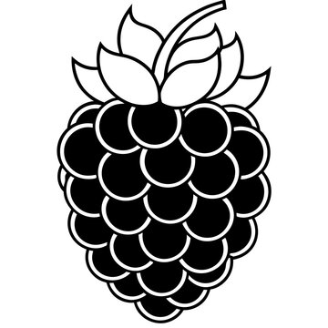 black and white blackberry fruit clip art preview